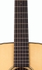 Neck